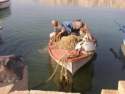 The fisherman.JPG
